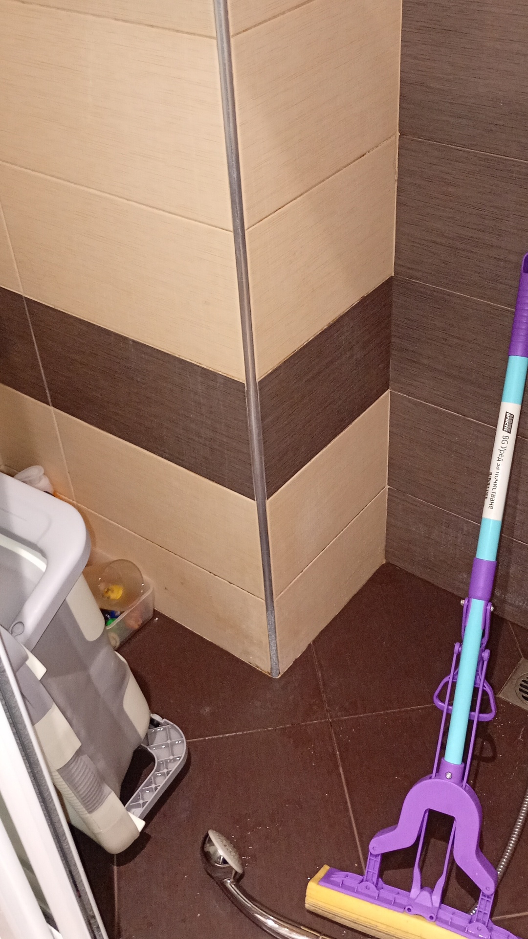 Before photo for Почистване на баня