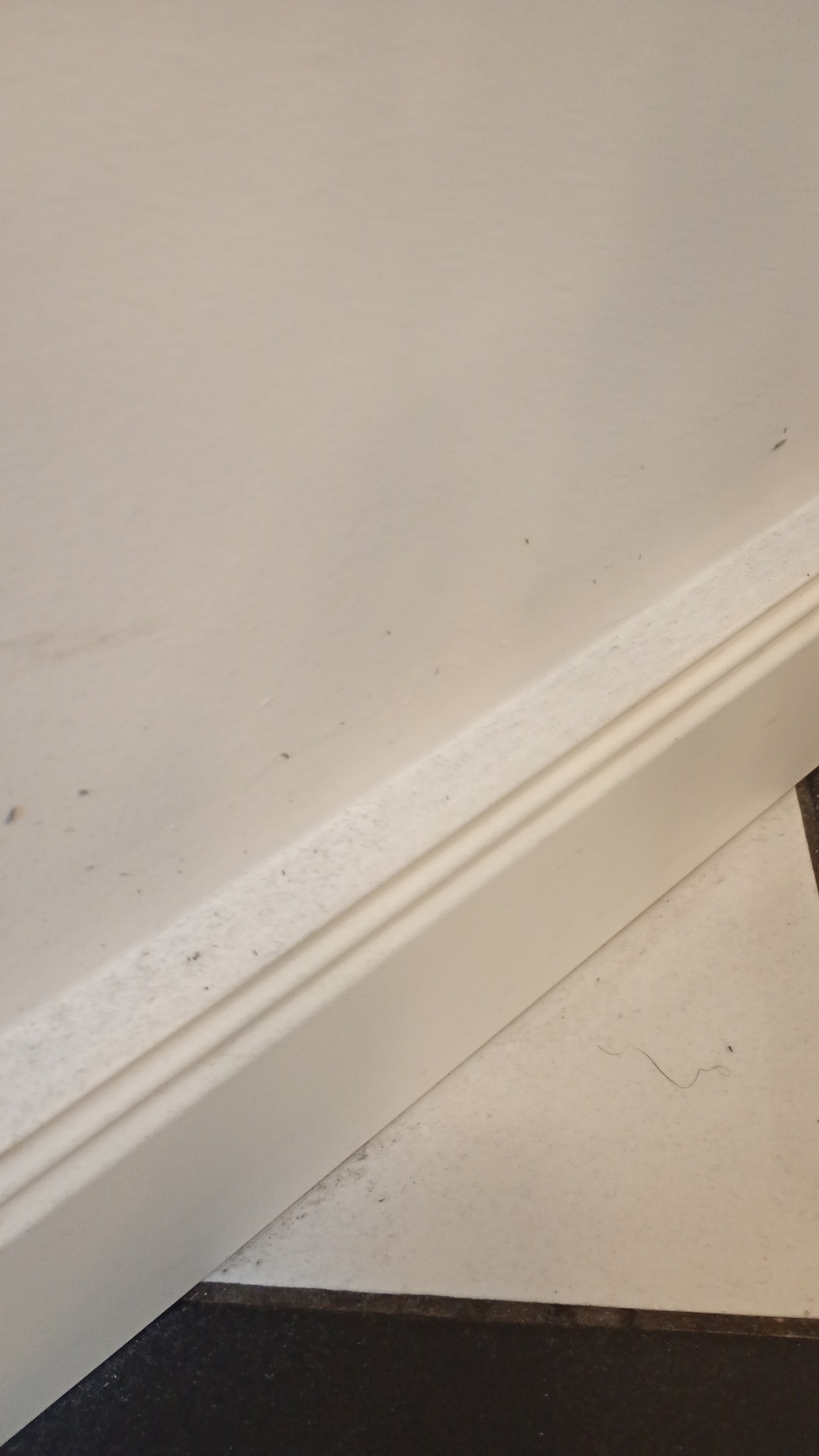 Before photo for Основно почистване