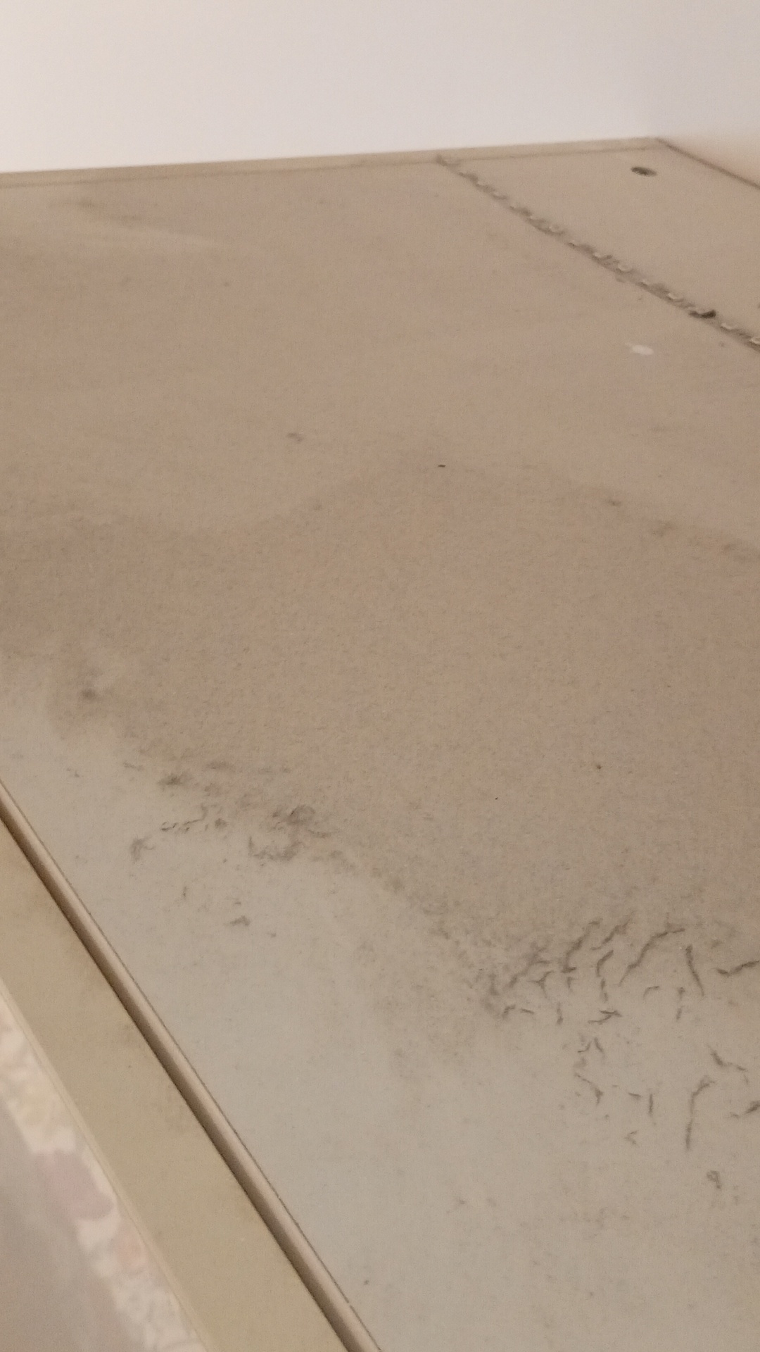 Before photo for Основно почистване