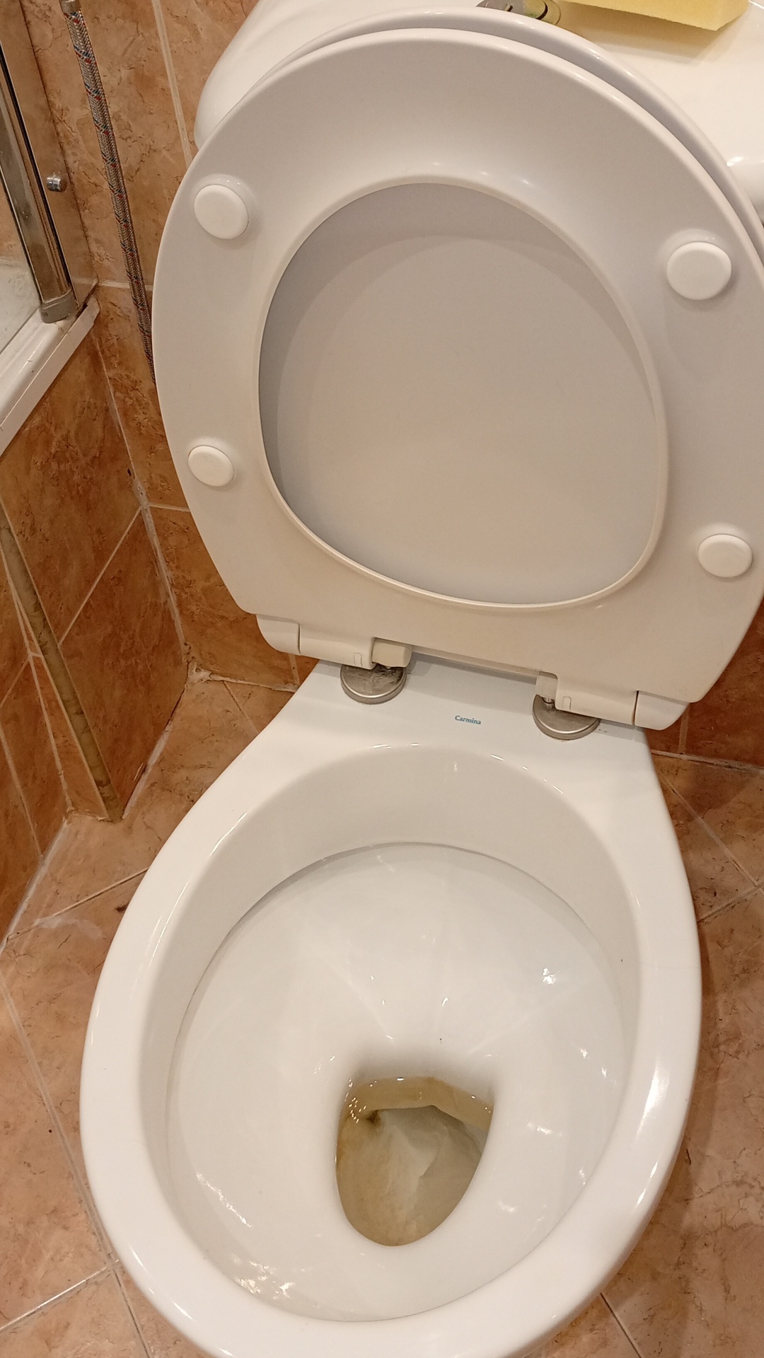 Before photo for Основно почистване