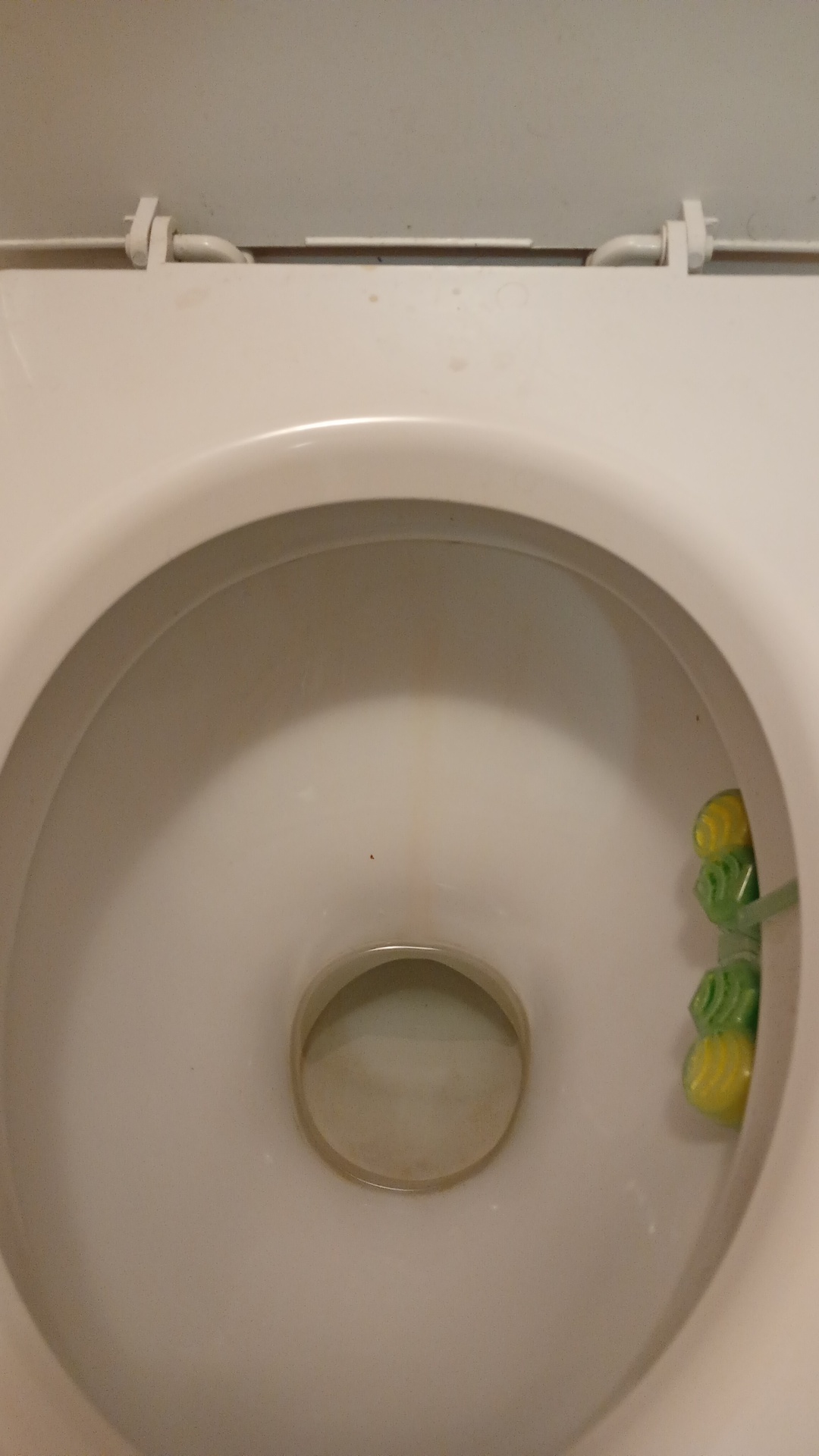 Before photo for Основно почистване