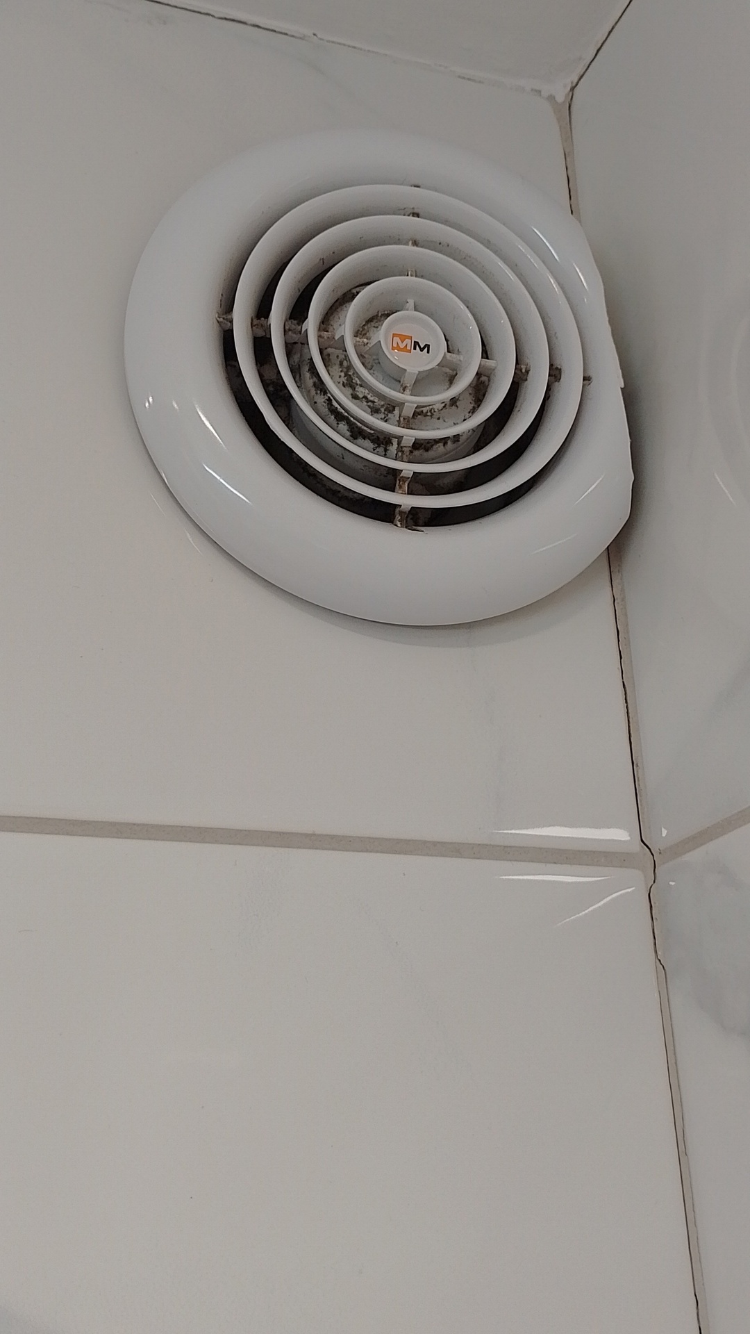 After photo for Основно почистване