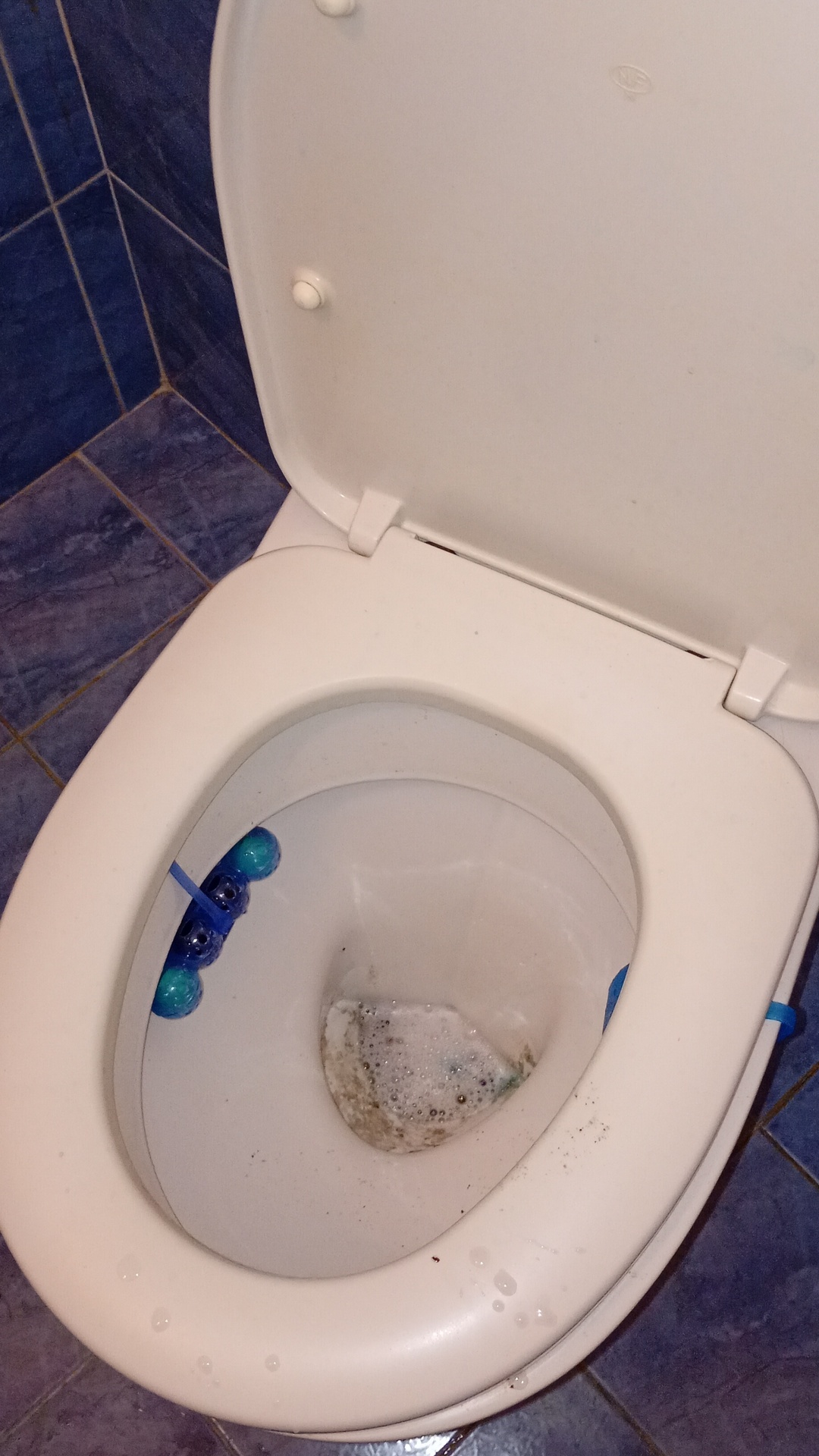 Before photo for Основно почистване