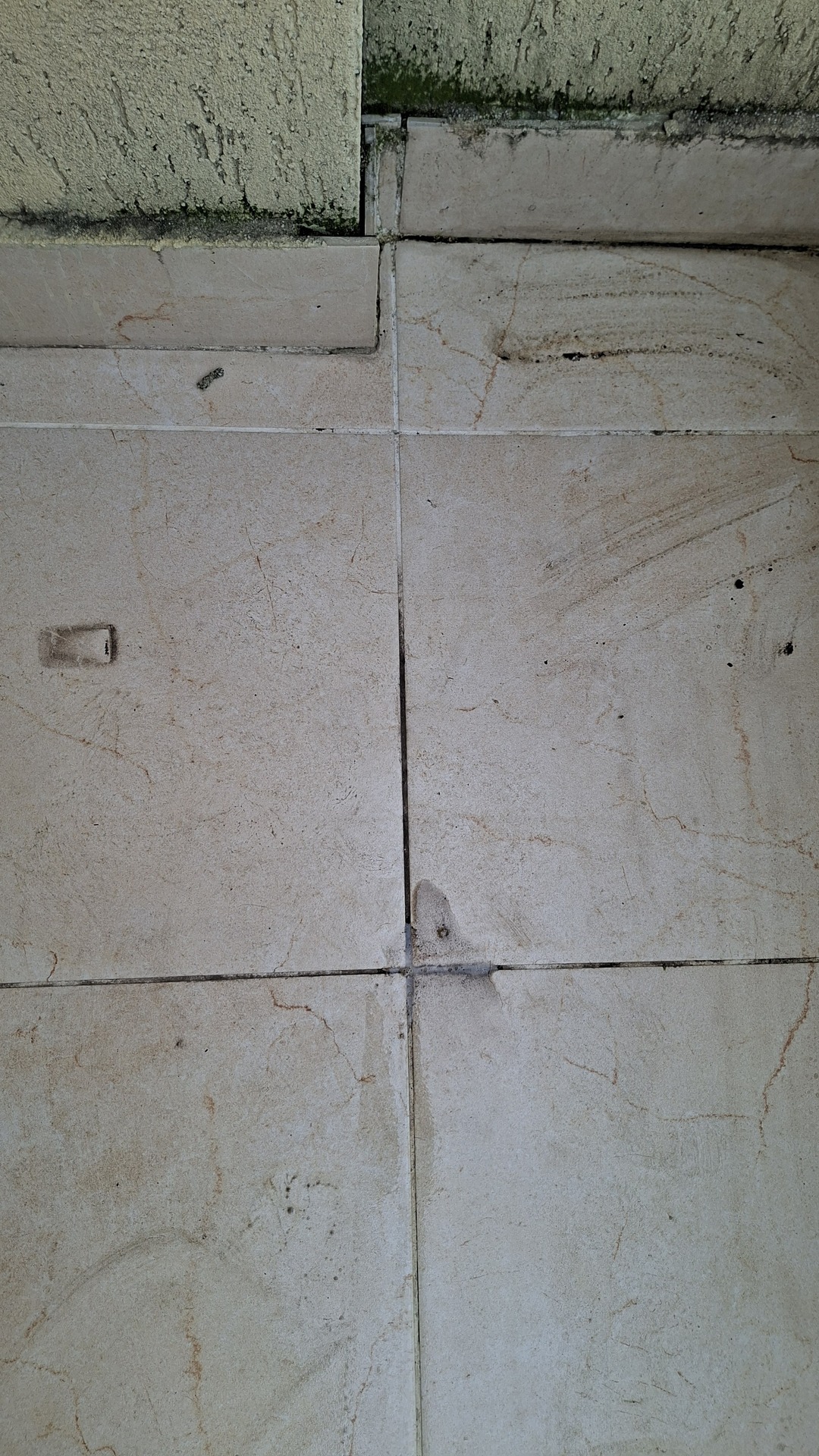 Before photo for Deep Cleaning